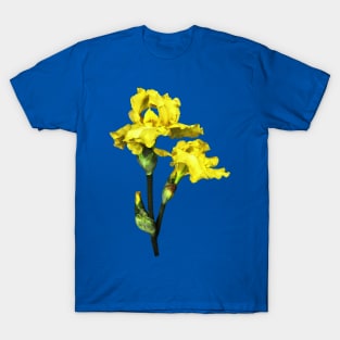 Two Yellow Irises and Buds T-Shirt